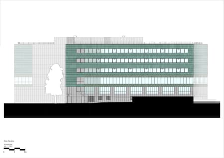 Paradise SE11 Mass Timber Office